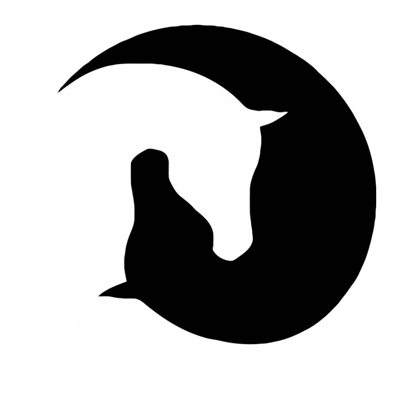 Ló yin-yan