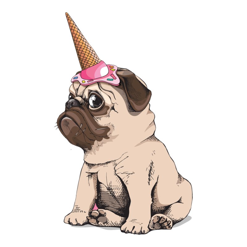 Mopszikorn