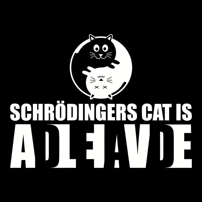Schrödinger macskája él/halott!